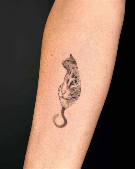 gato tattoo|tatuaje de gatos sin palabras.